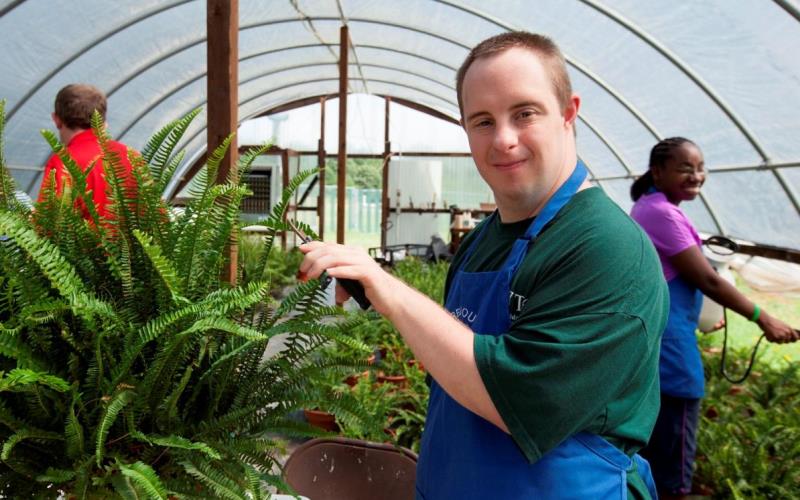 A young adult man with IDD wears a blue apron while watering a fern in a greenhouse