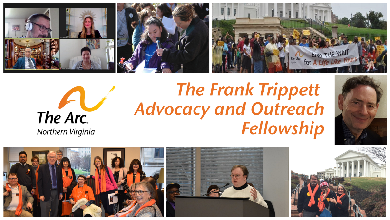 collage of advocacy activity photos made possible by the Trippett Fellowship grant